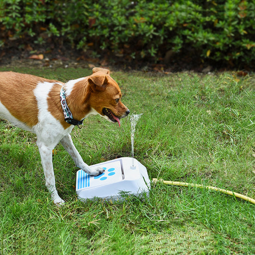 Outdoor Treat Feeder