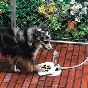 Step-On Fountain
