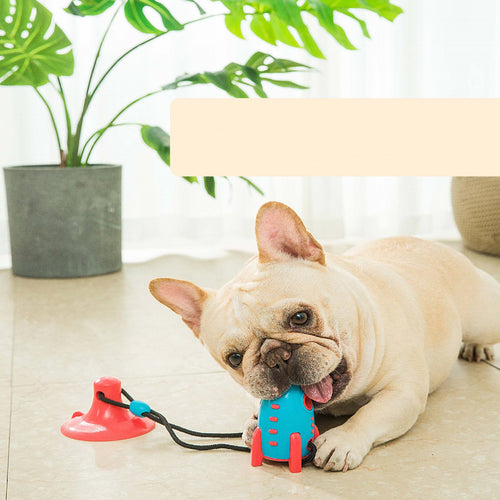 Rocket Treat Toy