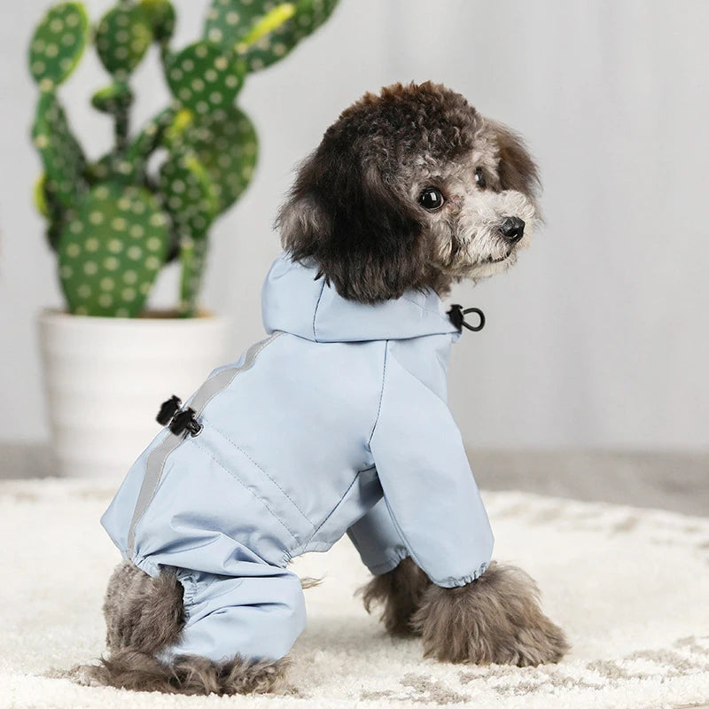Raincoat