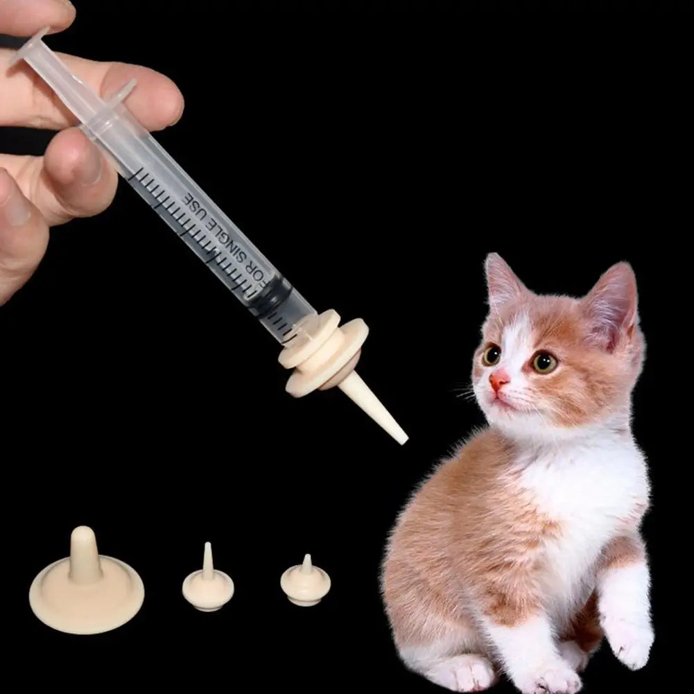 Feeding Syringe