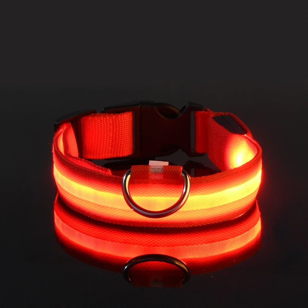 LED Glow Collar