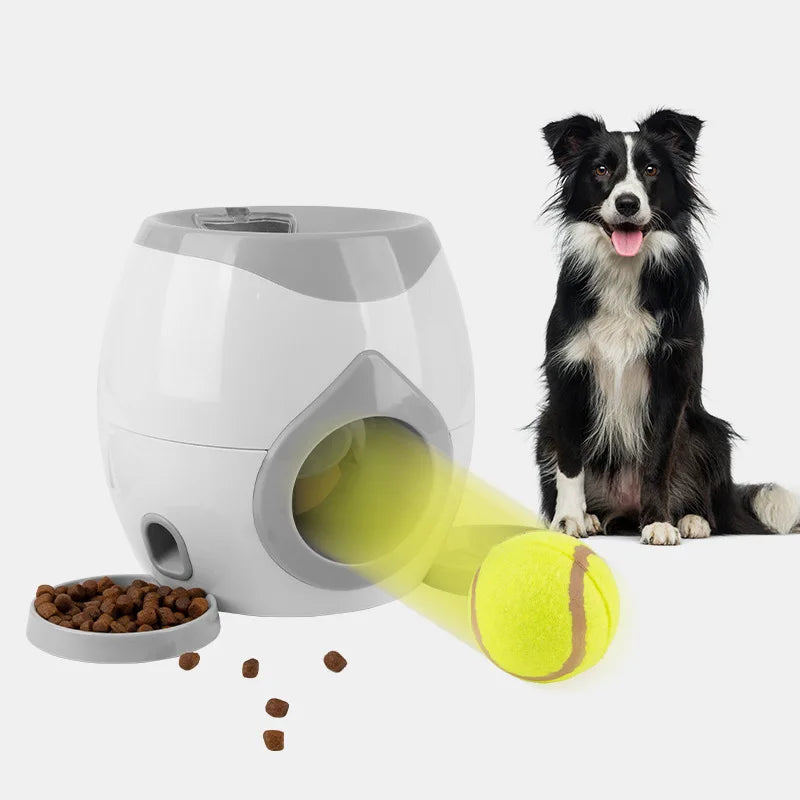 Ball Reward Machine