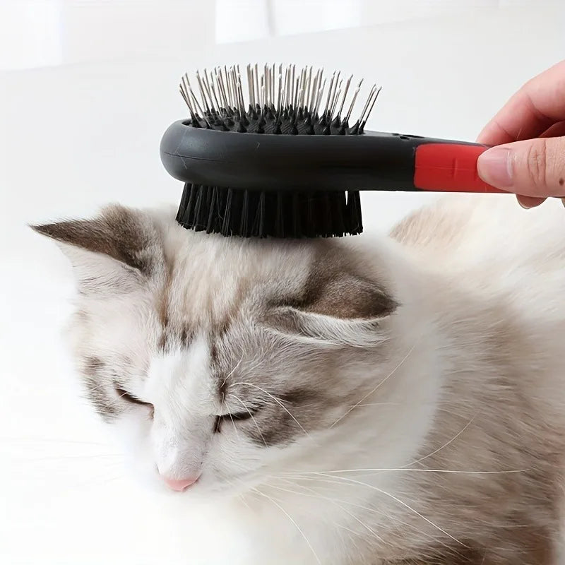 Dual Brush