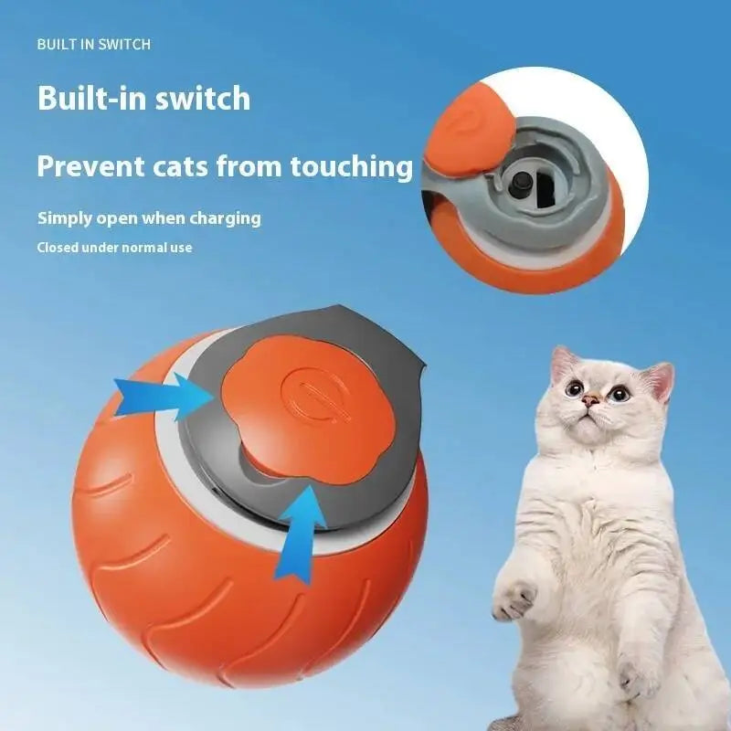 Tail Chaser Ball