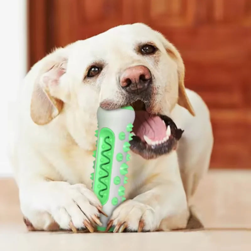 Dental Chew Brush