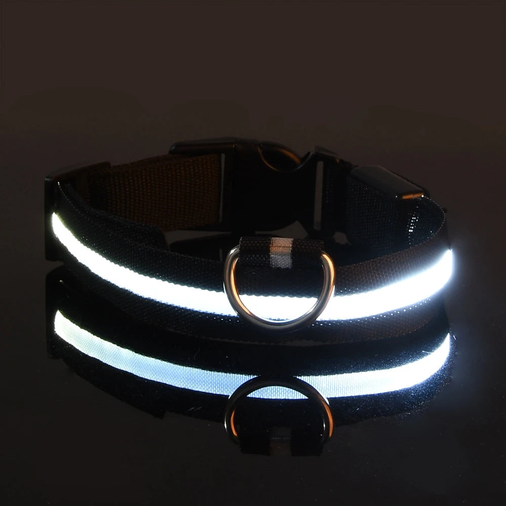 LED Glow Collar