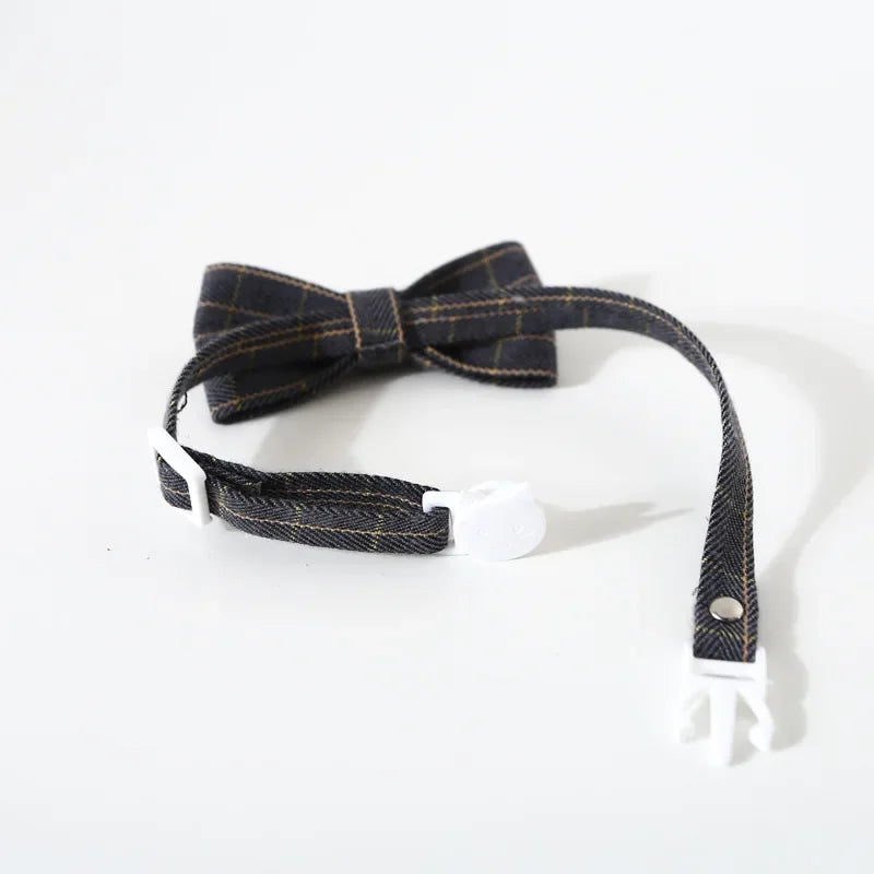 Cat Collar