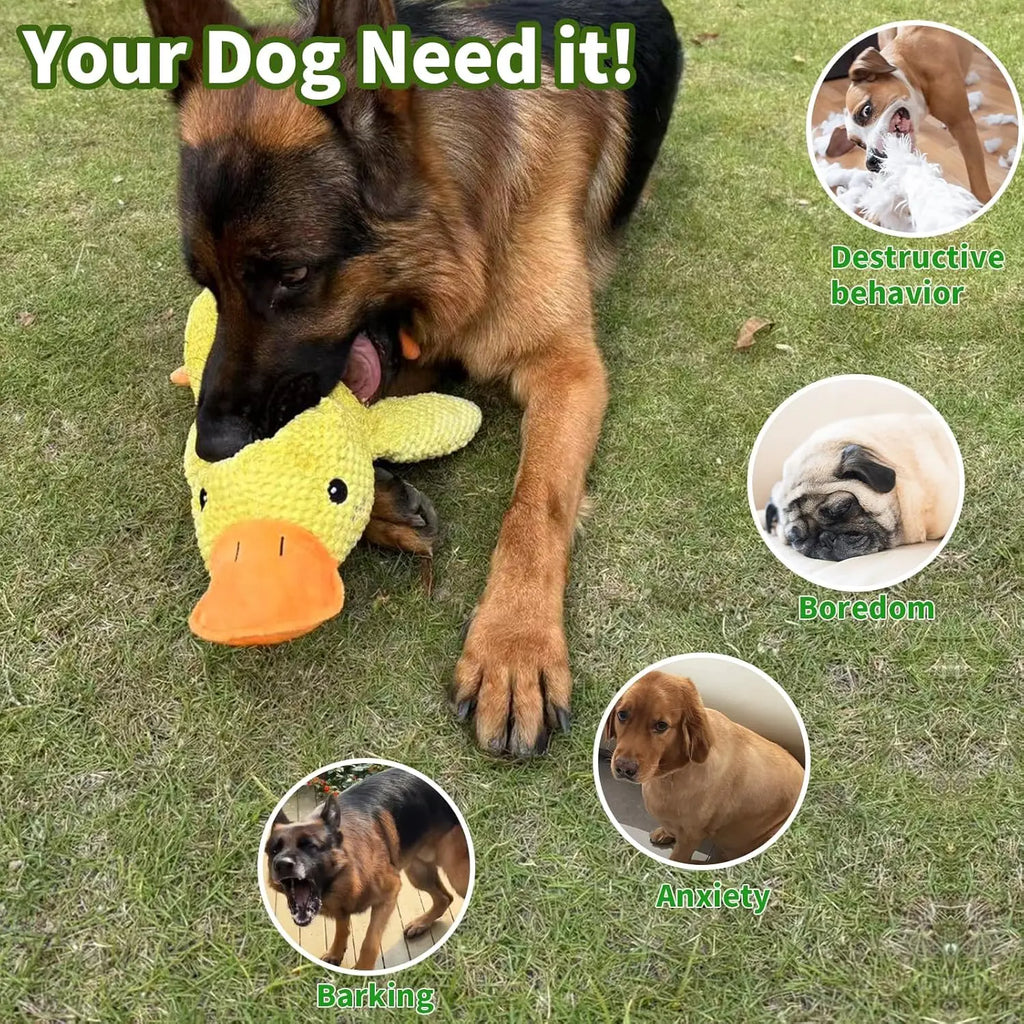 Quack Duck Toy