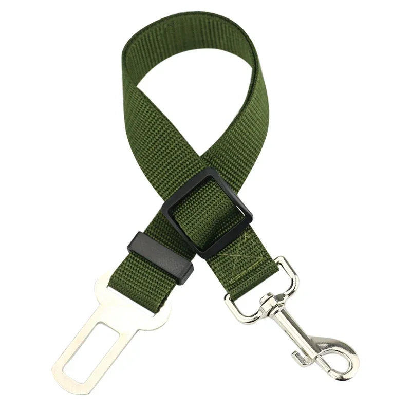 Car Safety Belt