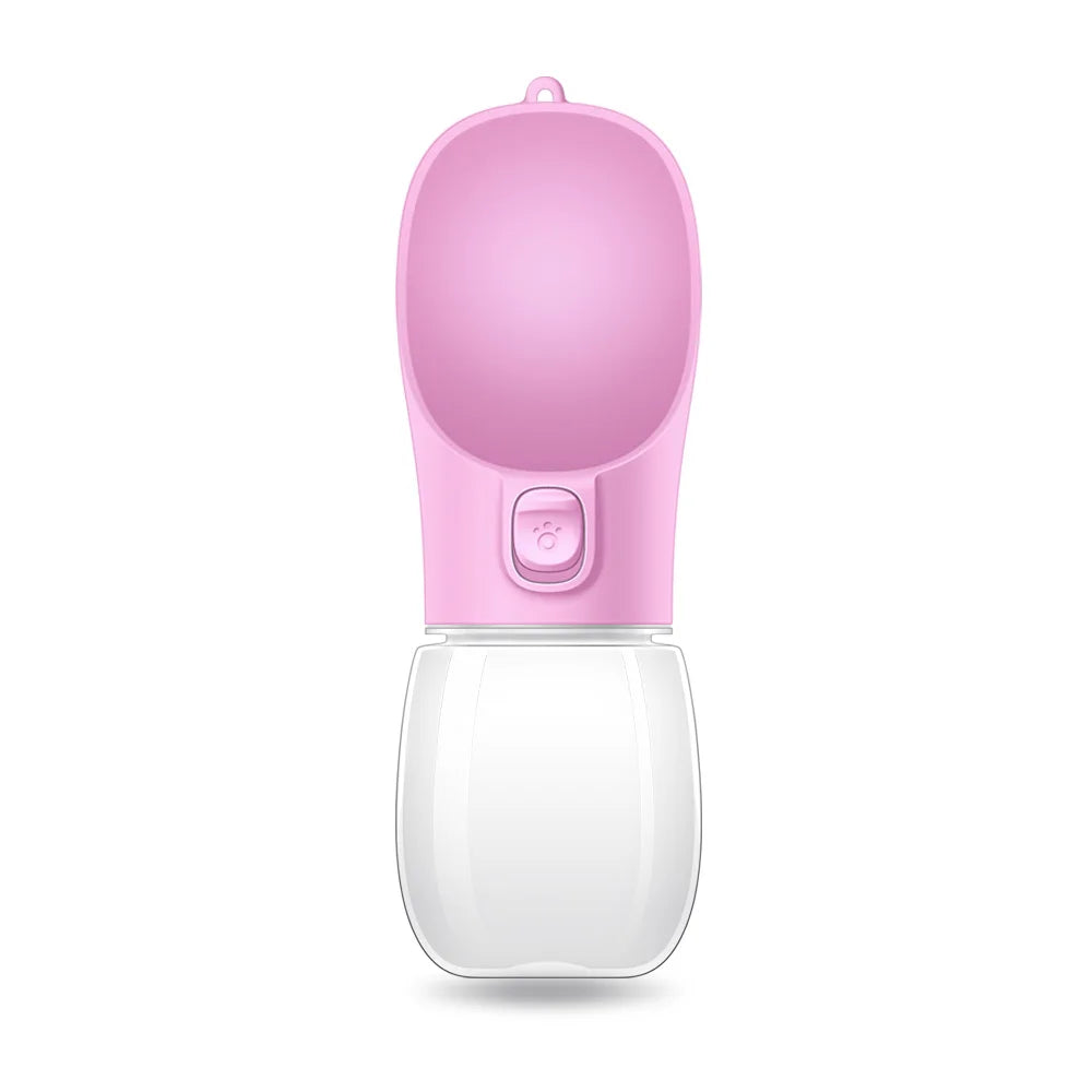 Travel Water Bottle