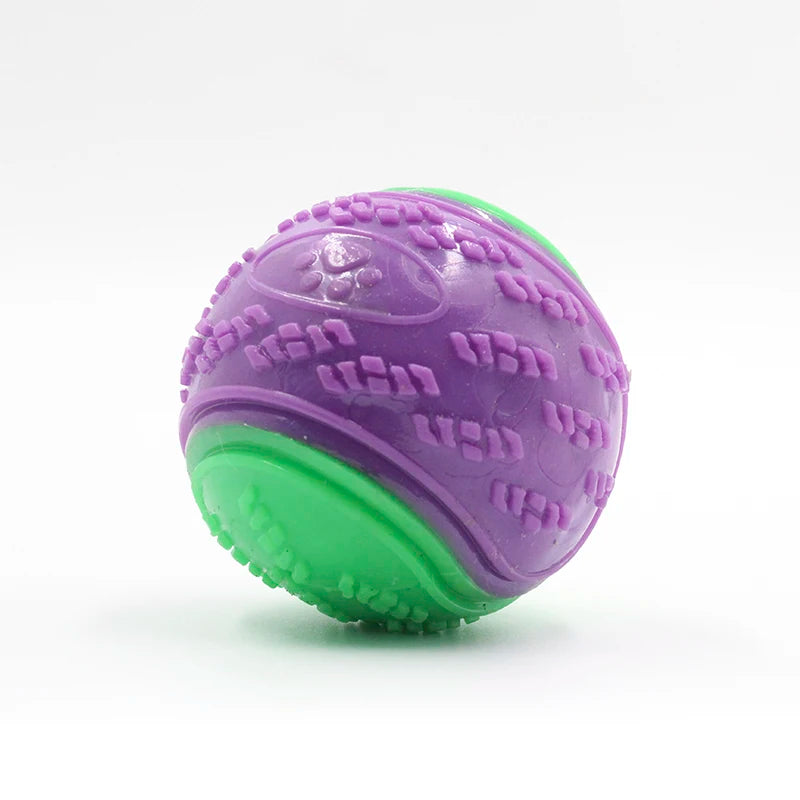 Squeaky Dental Ball