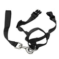 No-Pull Head Halter