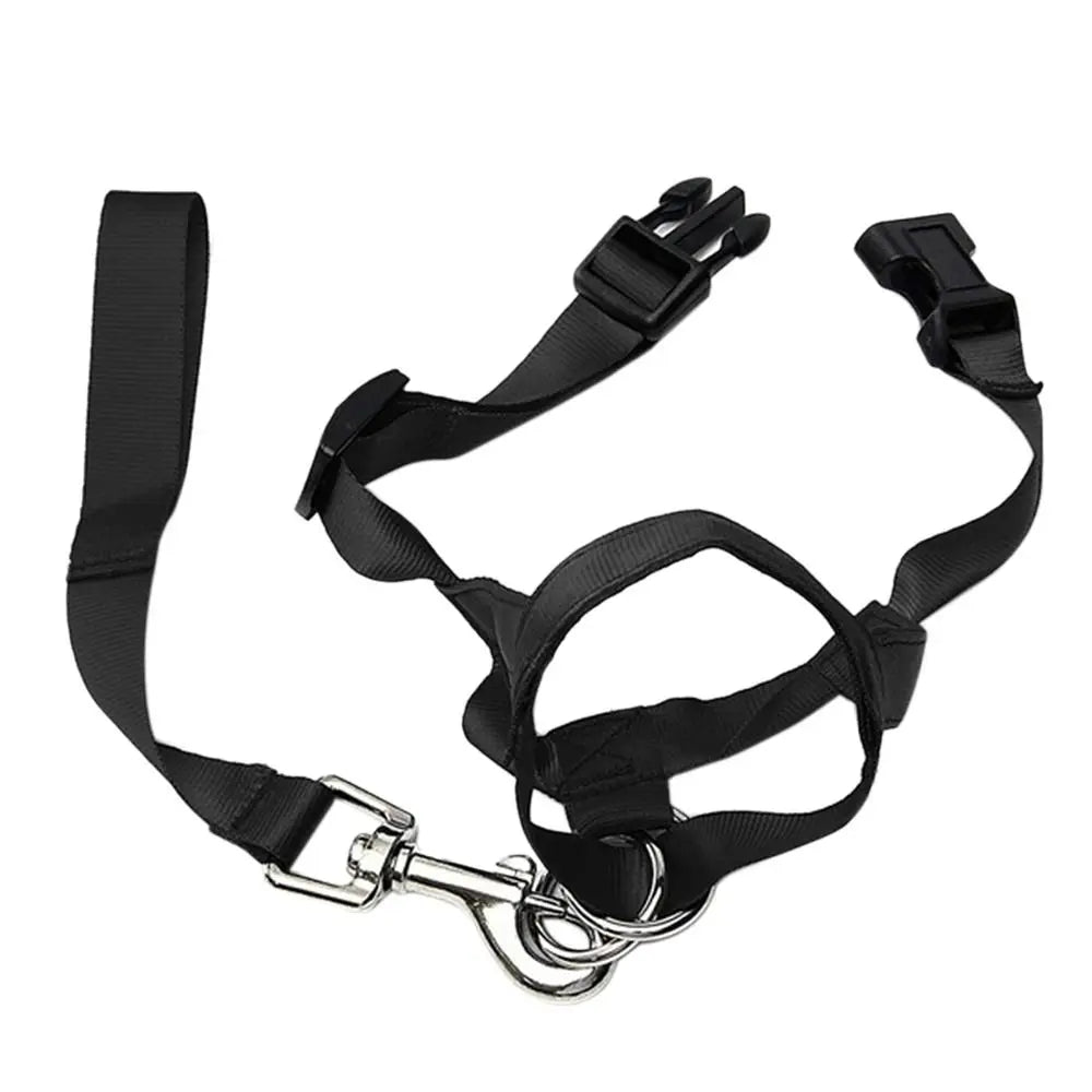 No-Pull Head Halter