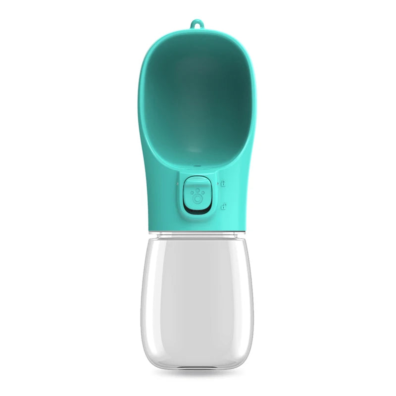 Travel Water Bottle