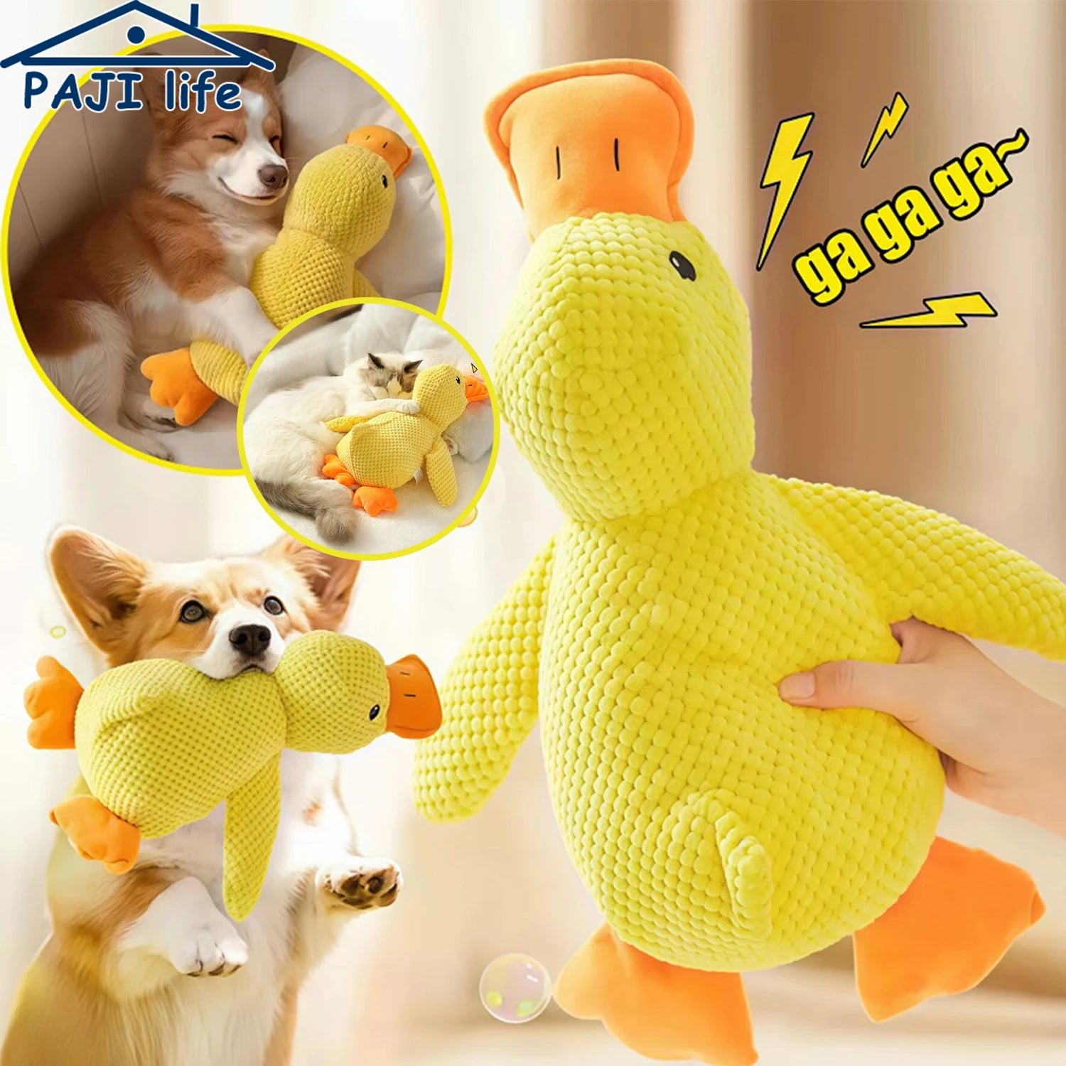 Quack Duck Toy
