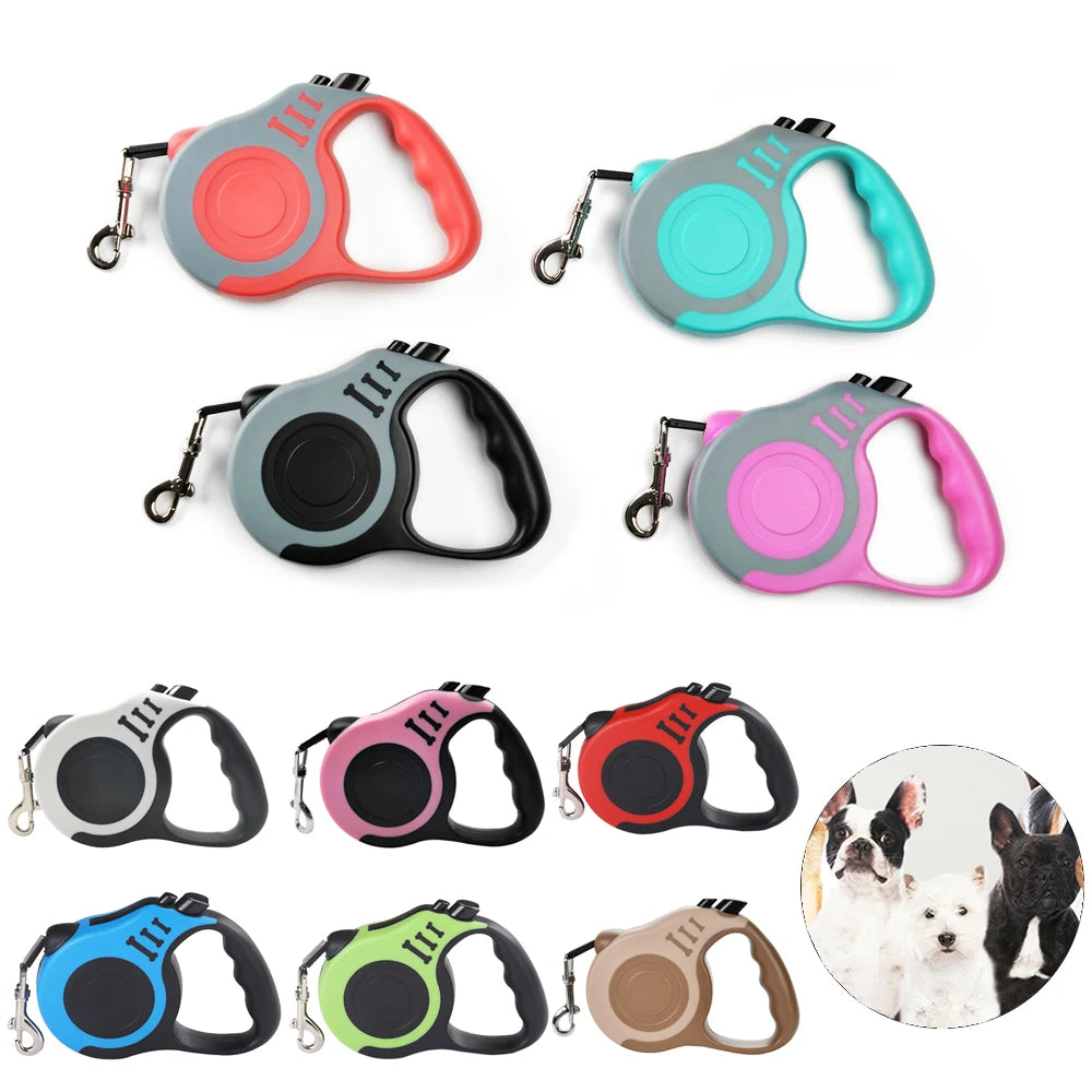 Retractable Leash
