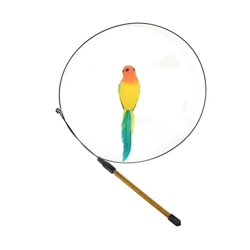 Peacock Teaser