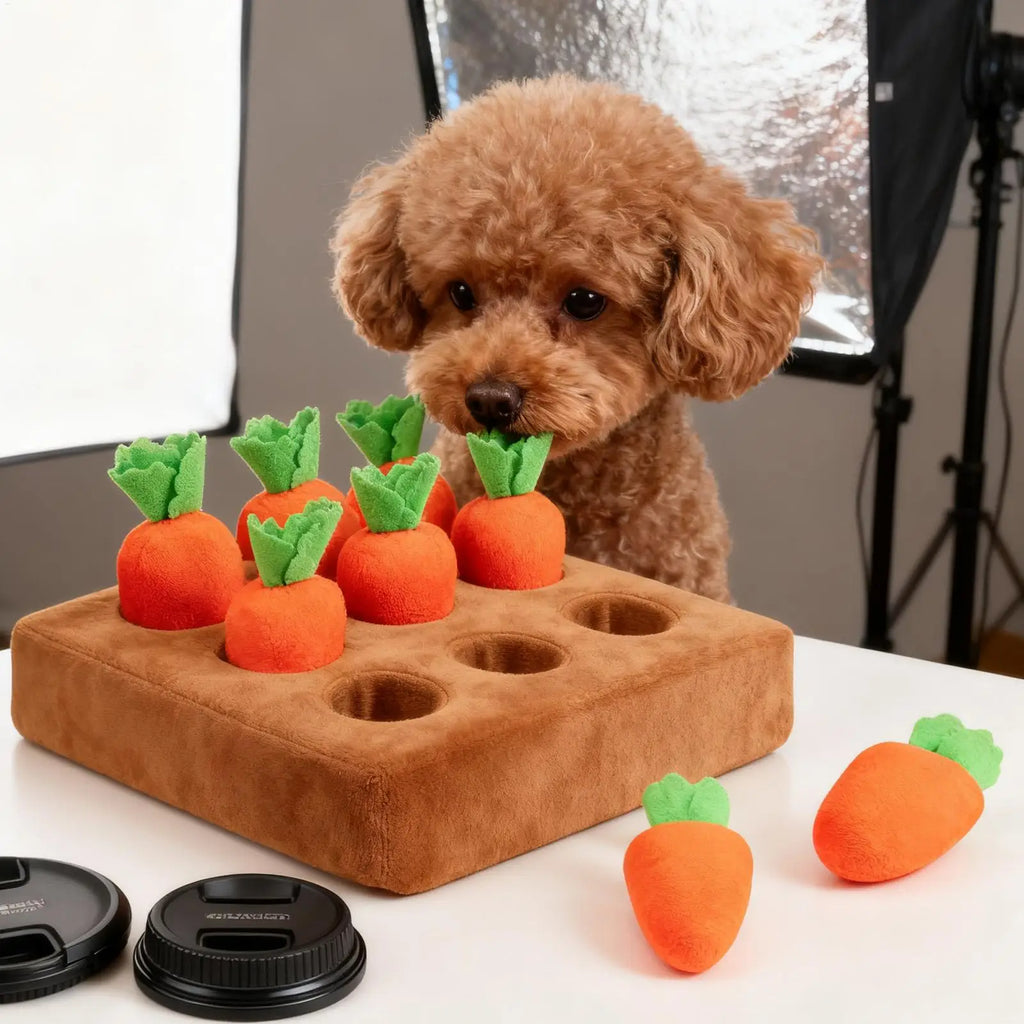 Carrot Snuffle Mat
