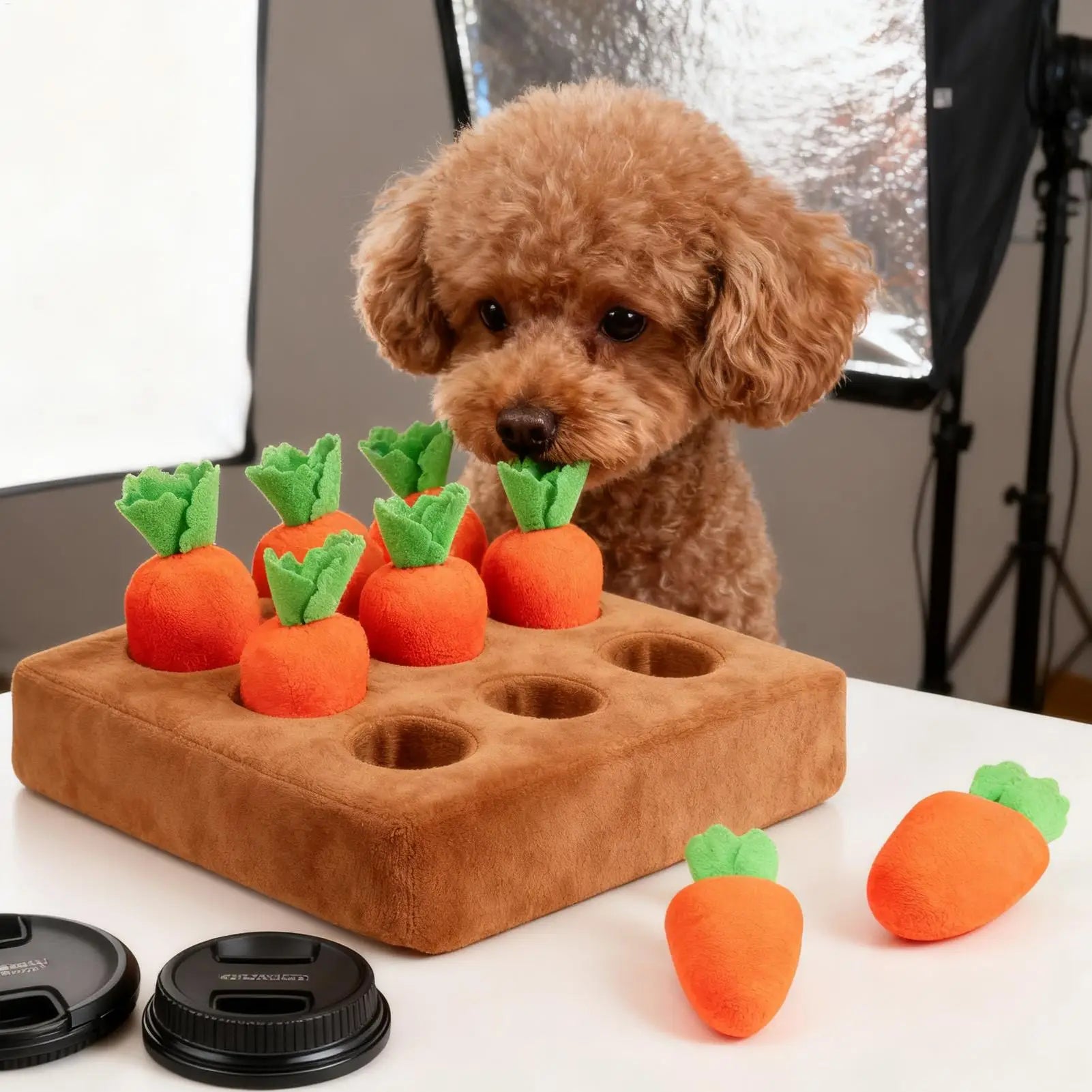 Carrot Snuffle Mat