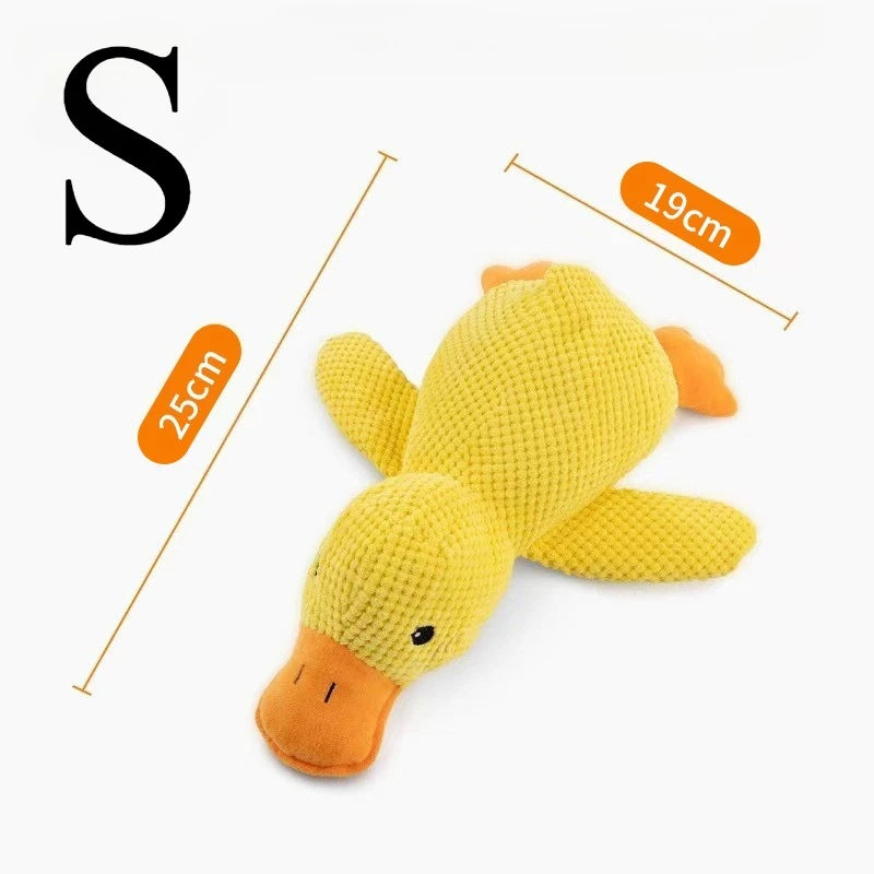 Quack Duck Toy