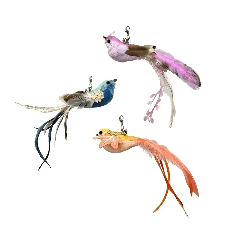 Peacock Teaser