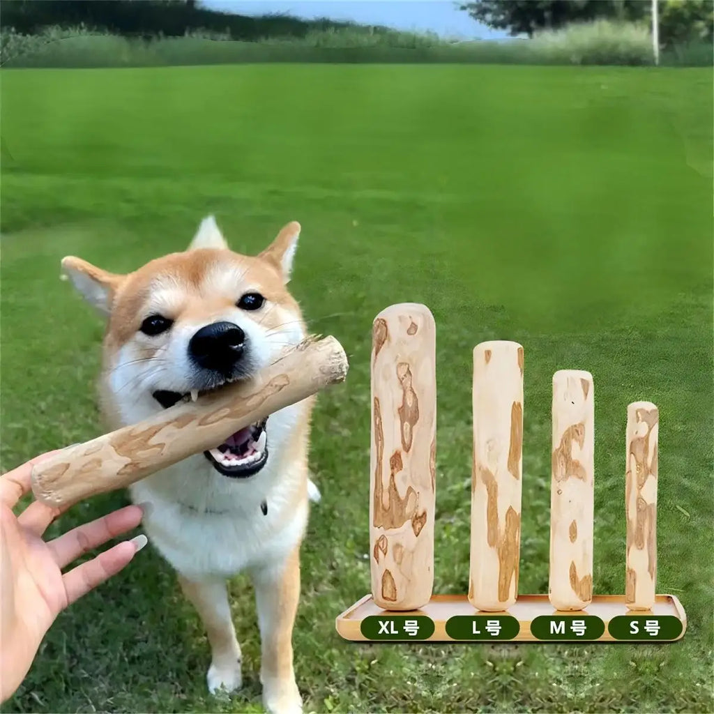 Coffee Wood Chew