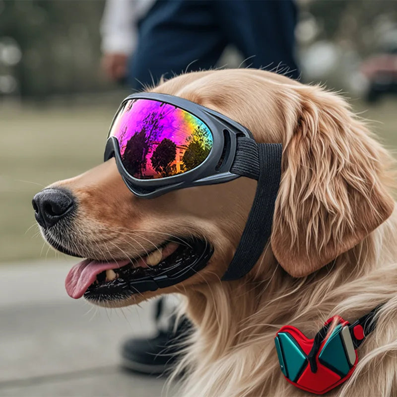 Dog Goggles