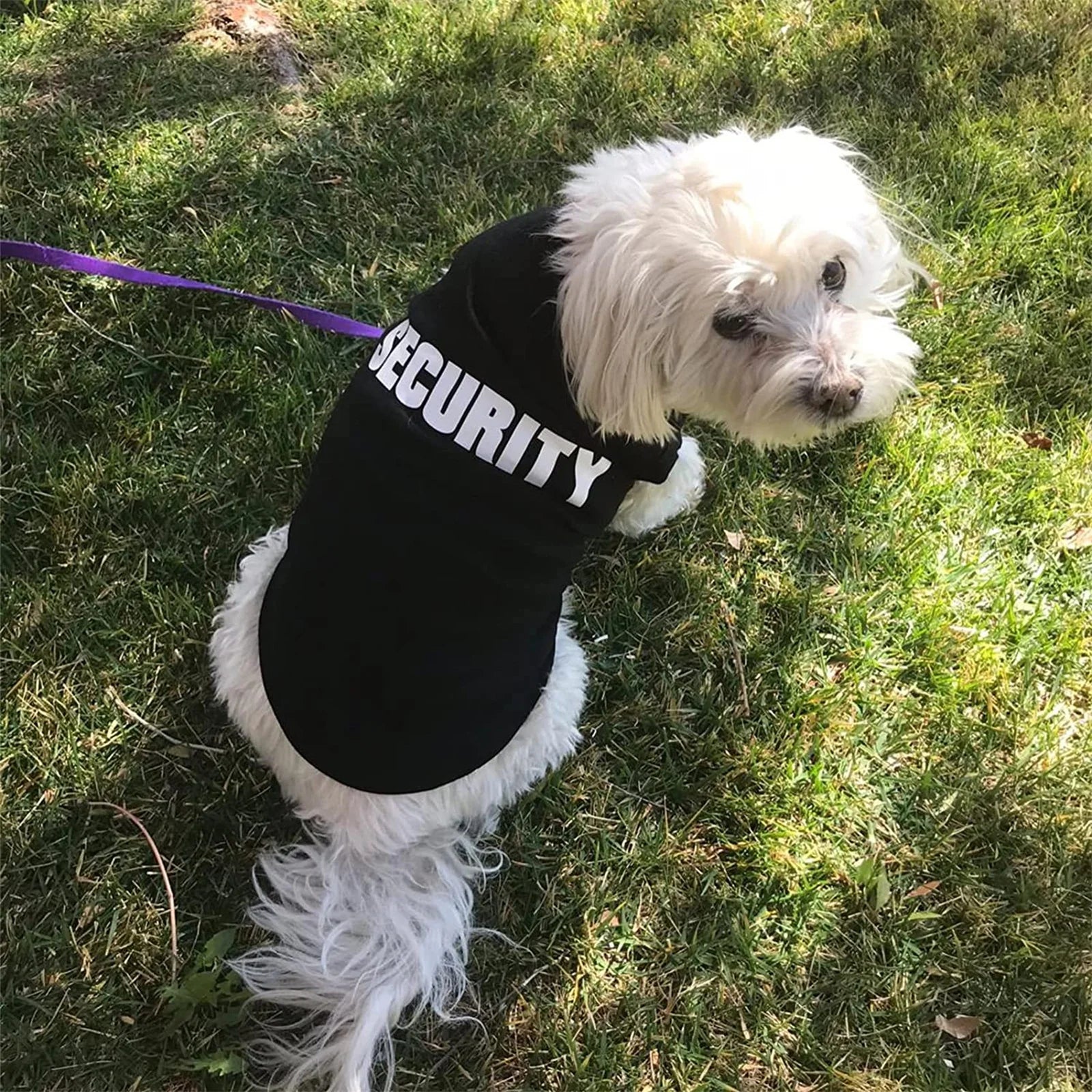 Summer Vest