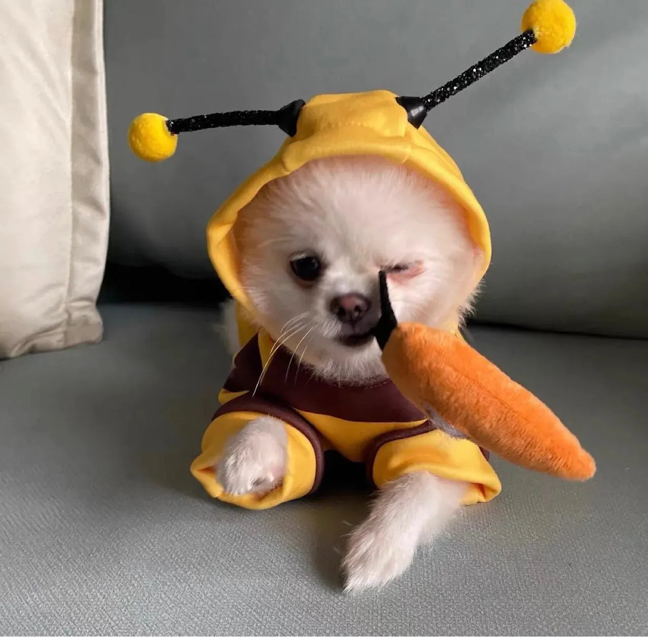 Bee Hoodie