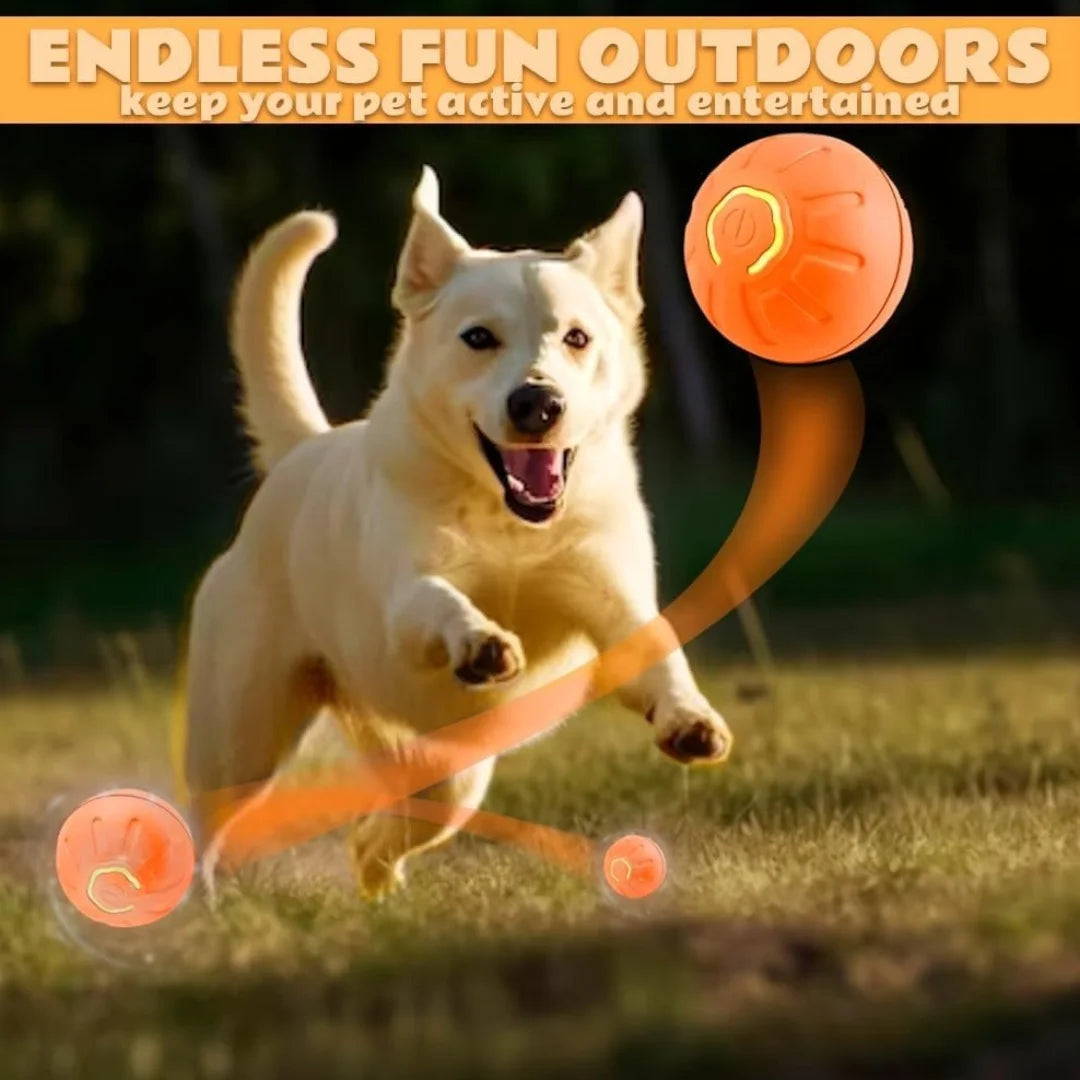 Smart Bouncing Ball