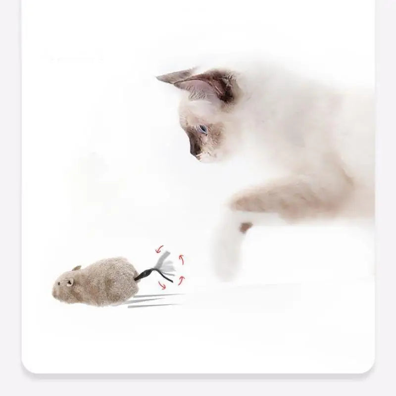 Plush Mouse Toy