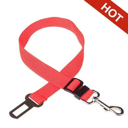 Car Safety Belt