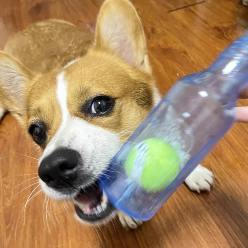Bottle Chew Toy