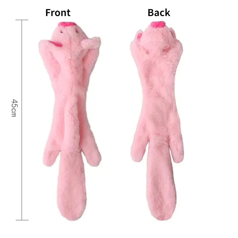 Squeaky Crinkle Toy