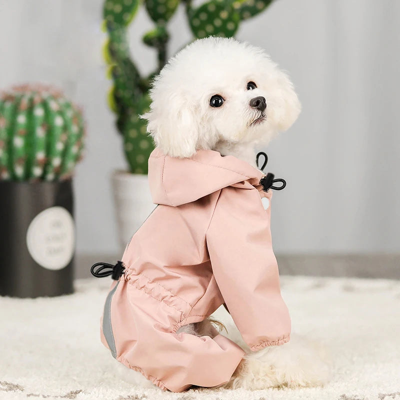 Raincoat
