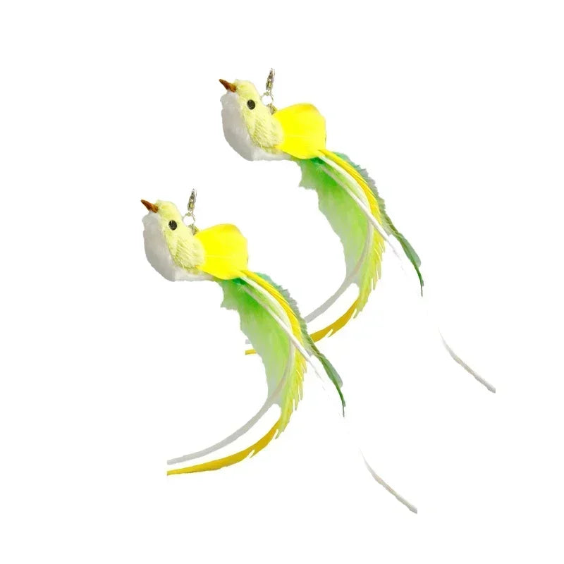 Peacock Teaser