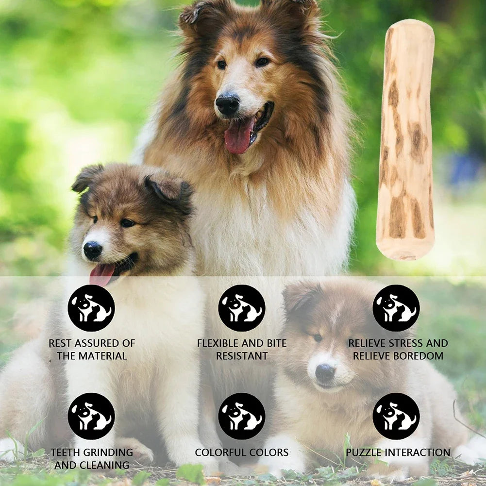 Coffee Wood Chew
