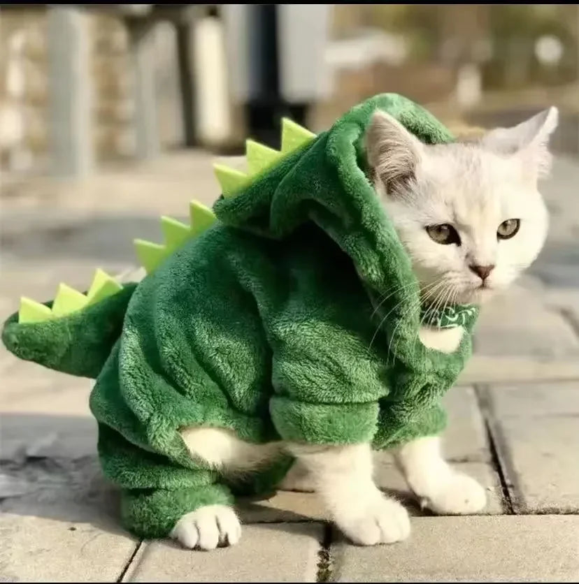 Dino Costume