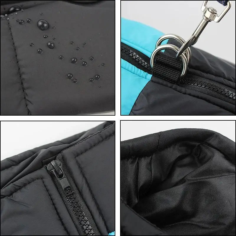 Winter Jacket