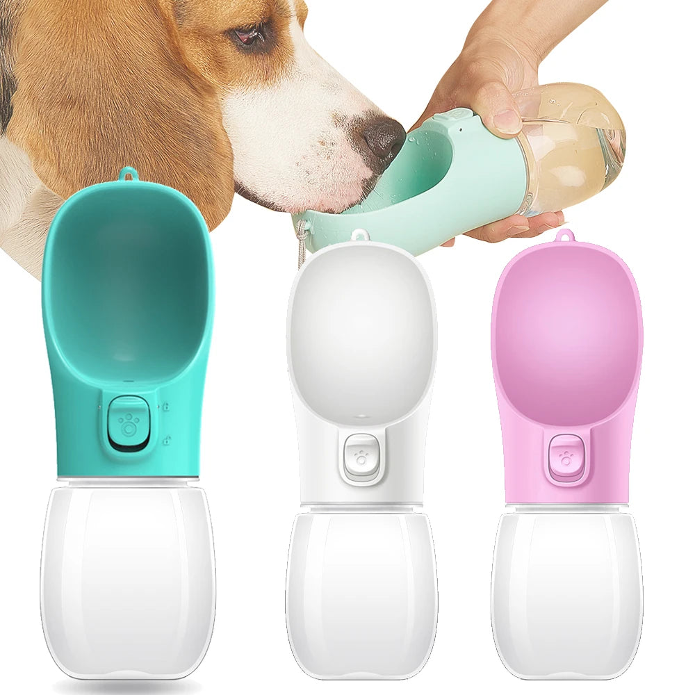 Travel Water Bottle