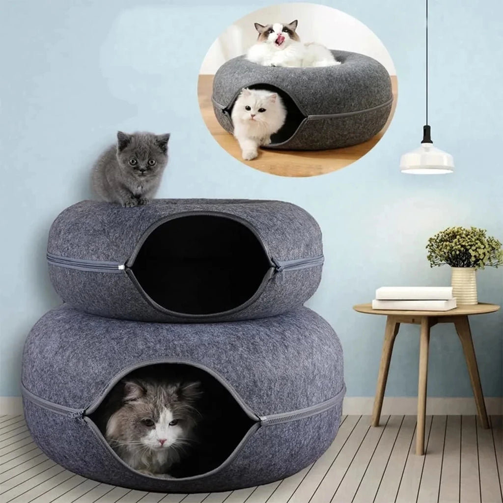 Cat Donut Tunnel
