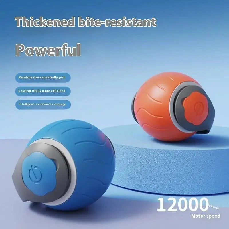 Tail Chaser Ball