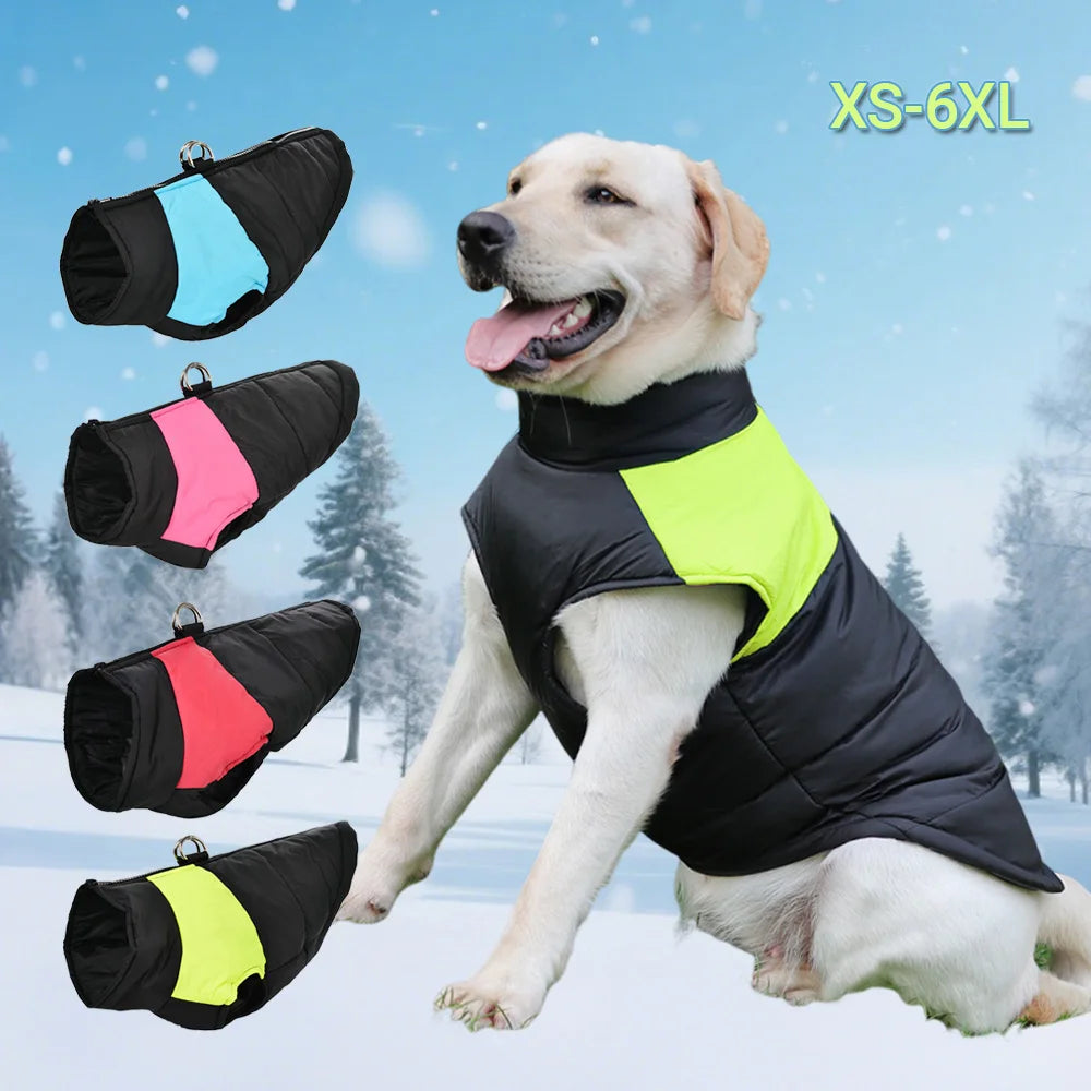 Winter Jacket