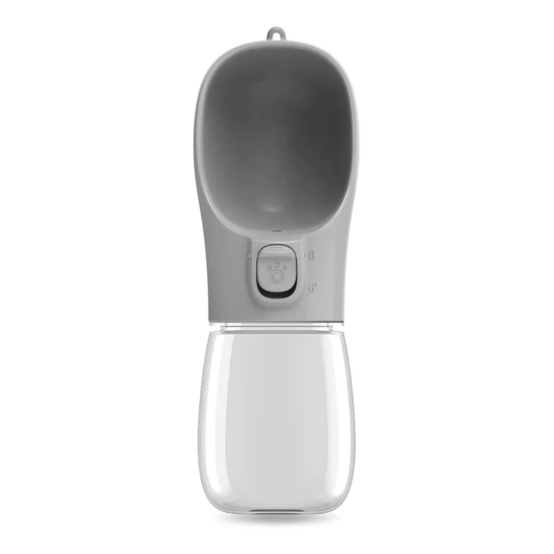 Travel Water Bottle