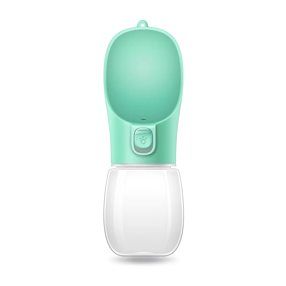 Travel Water Bottle