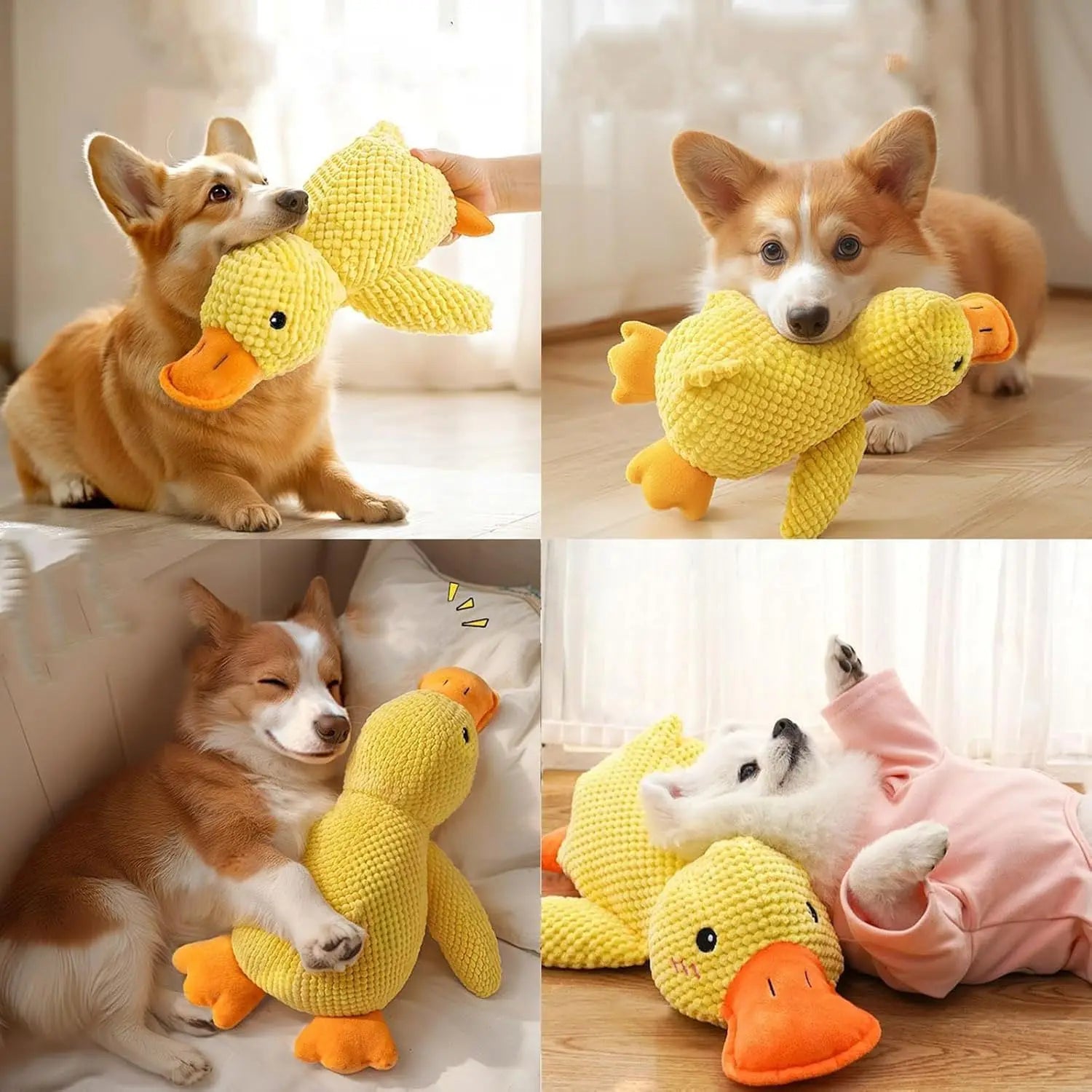 Quack Duck Toy