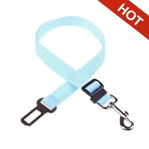 Car Safety Belt