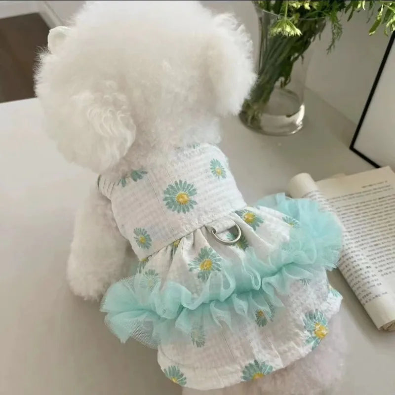 Princess Dress