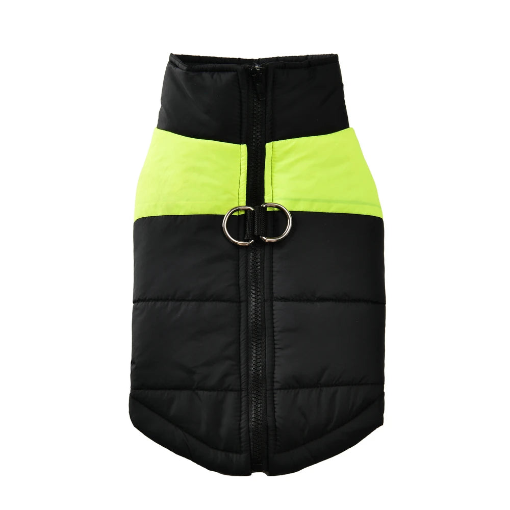 Winter Jacket